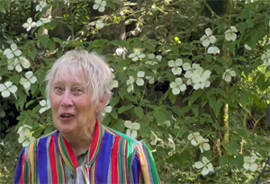 Carol Klein